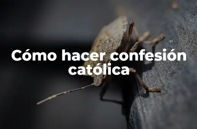 Cómo Hacer Confesión Católica