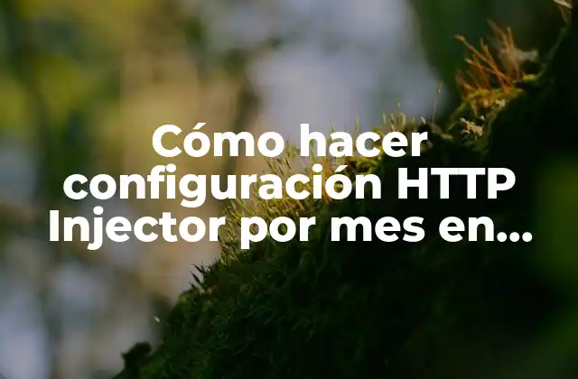 Cómo Hacer Configuración Http Injector por Mes en Txt