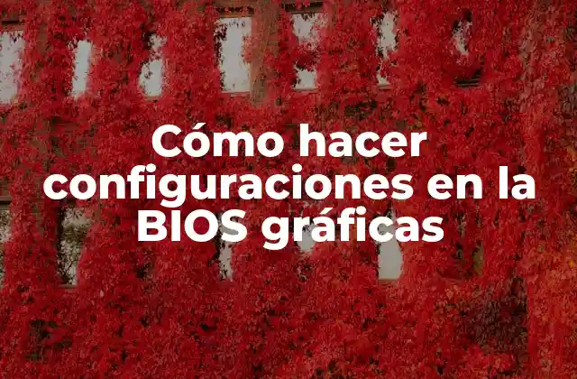 Cómo Hacer Configuraciones en la Bios Gráficas