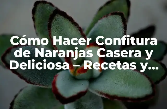 Cómo Hacer Confitura de Naranjas Casera y Deliciosa – Recetas y Consejos