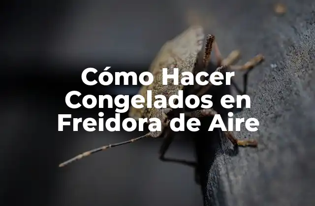 Cómo Hacer Congelados en Freidora de Aire