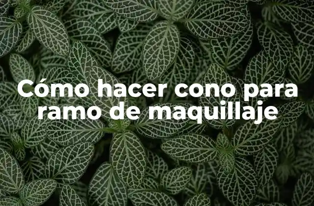 Cómo Hacer Cono para Ramo de Maquillaje