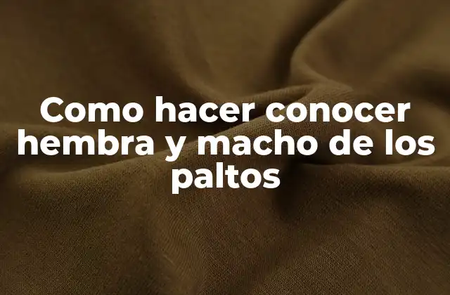Como Hacer Conocer Hembra y Macho de los Paltos 2 Como hacer conocer hembra y macho de los paltos