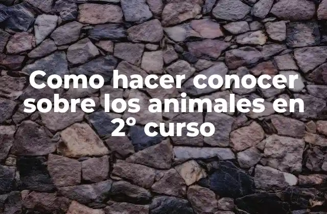 Como Hacer Conocer sobre los Animales en 2º Curso 2 Como hacer conocer sobre los animales en 2º curso