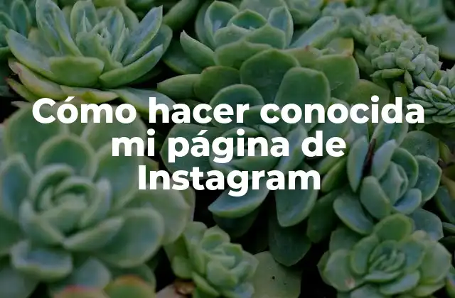 Cómo hacer conocida mi página de Instagram