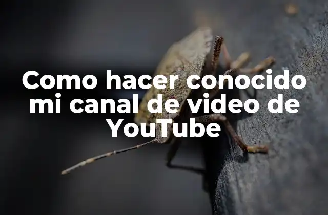 Como hacer conocido mi canal de video de YouTube