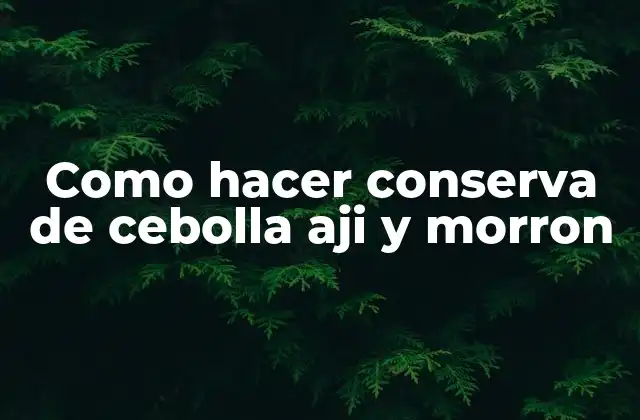 Como Hacer Conserva de Cebolla Aji y Morron