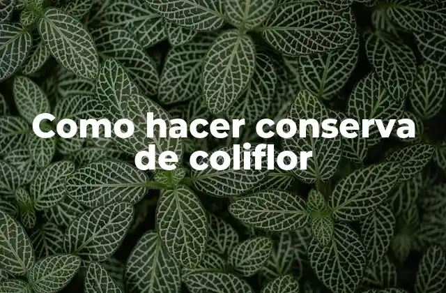 Como Hacer Conserva de Coliflor 2 Conserva de coliflor: ¿qué es y para qué sirve?