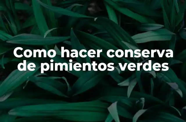 Como Hacer Conserva de Pimientos Verdes