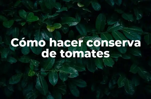 Cómo Hacer Conserva de Tomates 2 ¿Qué es la conserva de tomates y para qué sirve?