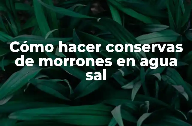 Cómo Hacer Conservas de Morrones en Agua Sal