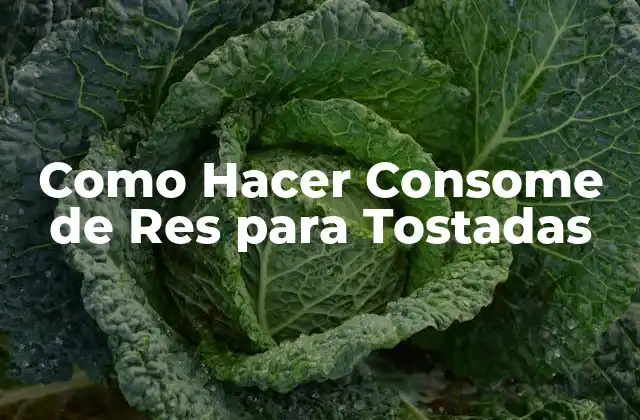 Como Hacer Consome de Res para Tostadas