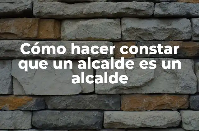 Cómo Hacer Constar que un Alcalde es un Alcalde 2 Cómo hacer constar que un alcalde es un alcalde
