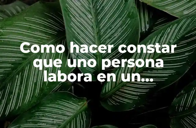 Como Hacer Constar que Uno Persona Labora en un Establecimiento