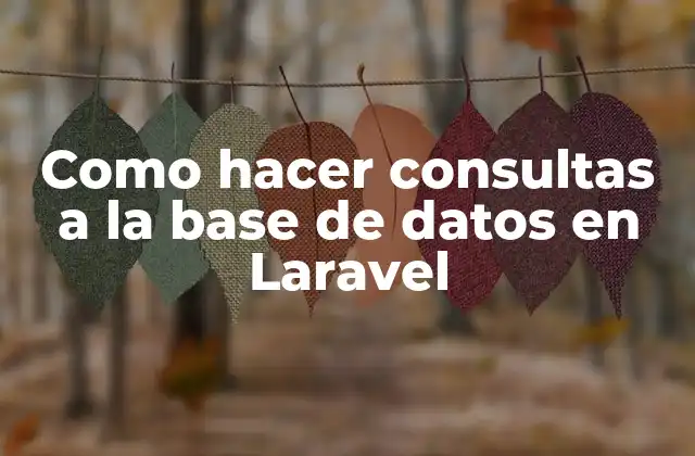 Consultas a la base de datos en Laravel