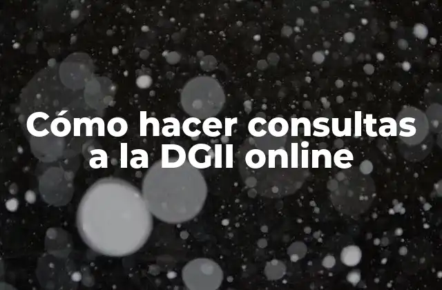 Cómo Hacer Consultas a la Dgii Online