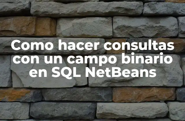 Como Hacer Consultas con un Campo Binario en Sql Netbeans 2 Campo binario en SQL NetBeans