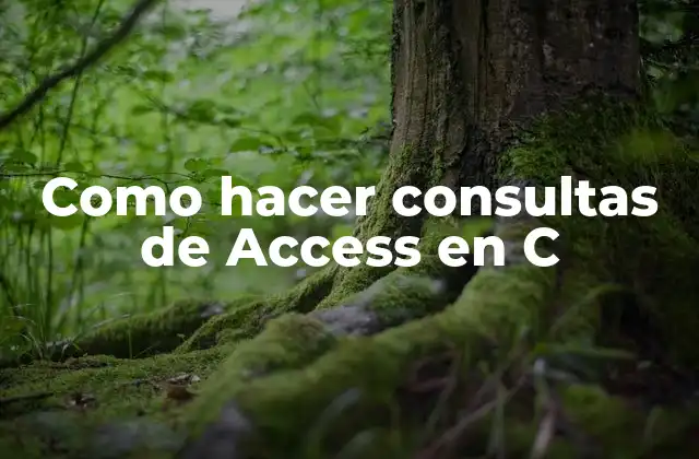 Como Hacer Consultas de Access en C