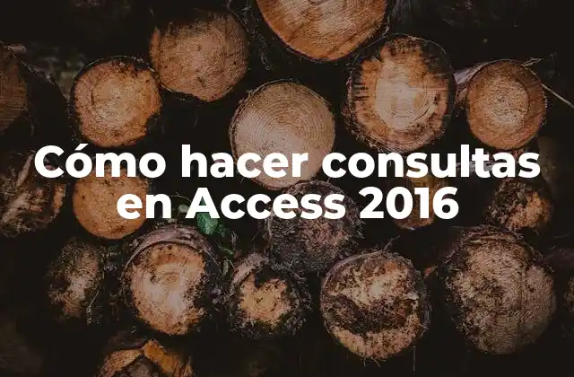 Cómo Hacer Consultas en Access 2016