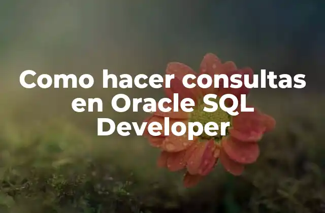 Como Hacer Consultas en Oracle Sql Developer
