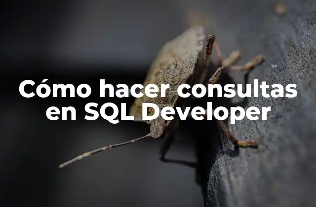 Cómo Hacer Consultas en Sql Developer