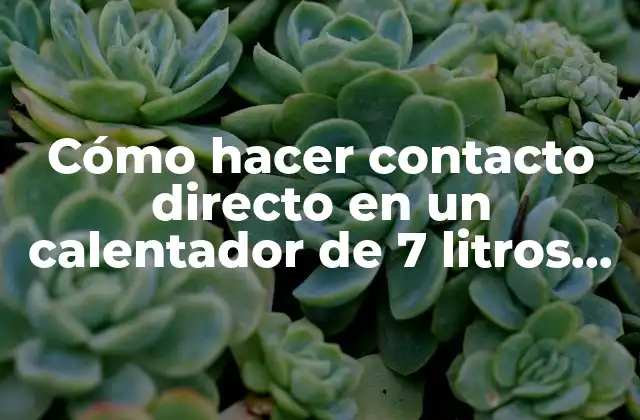 Cómo Hacer Contacto Directo en un Calentador de 7 Litros Ionizado