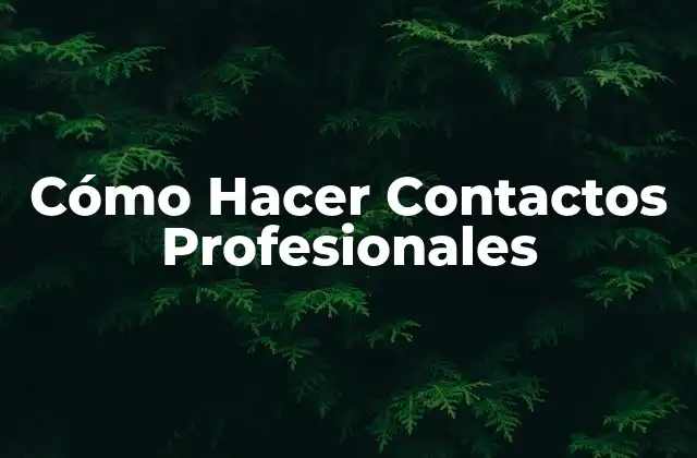 Cómo Hacer Contactos Profesionales 2 Cómo Hacer Contactos Profesionales