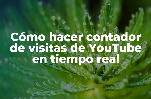 Cómo Hacer Contador de Visitas de Youtube en Tiempo Real