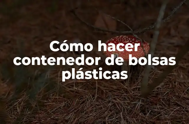 Cómo Hacer Contenedor de Bolsas Plásticas