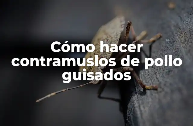 Cómo Hacer Contramuslos de Pollo Guisados