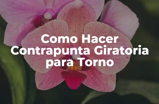 Como Hacer Contrapunta Giratoria para Torno
