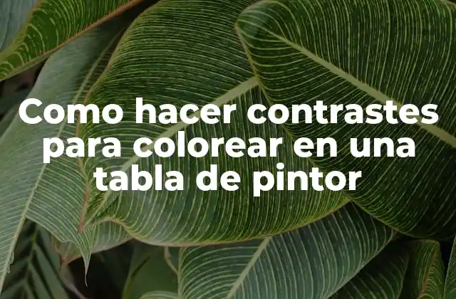 Como Hacer Contrastes para Colorear en una Tabla de Pintor