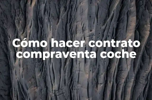 Cómo Hacer Contrato Compraventa Coche