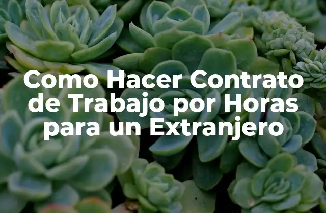 Como Hacer Contrato de Trabajo por Horas para un Extranjero