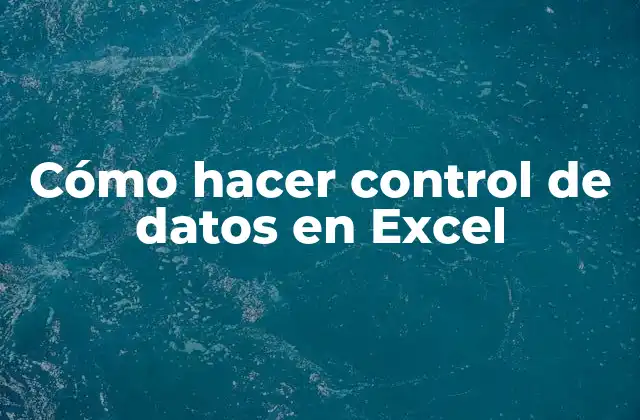 Cómo Hacer Control de Datos en Excel