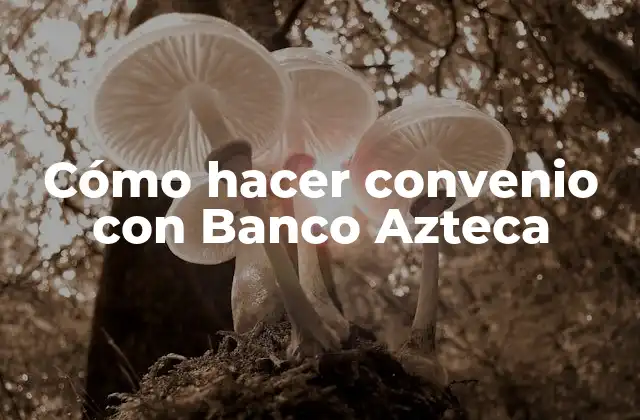 Cómo Hacer Convenio con Banco Azteca