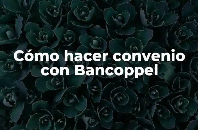 Cómo Hacer Convenio con Bancoppel 2 ¿Qué es un convenio con Bancoppel?