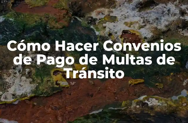Cómo Hacer Convenios de Pago de Multas de Tránsito 2 ¿Qué es un Convenio de Pago de Multas de Tránsito?