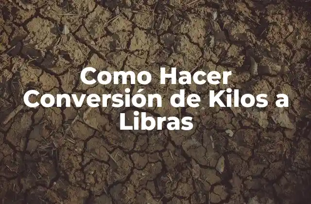 Como Hacer Conversión de Kilos a Libras
