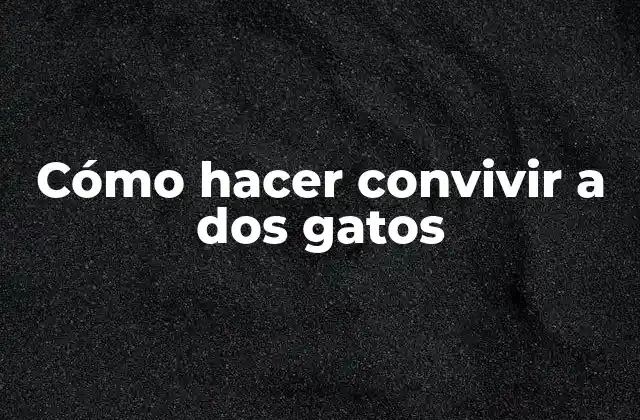 Cómo Hacer Convivir a Dos Gatos