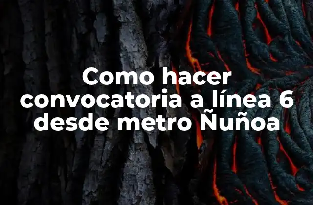 Como Hacer Convocatoria a Línea 6 desde Metro Ñuñoa