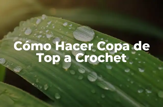 Cómo Hacer Copa de Top a Crochet 2 ¿Qué es una Copa de Top a Crochet y para Qué Sirve?