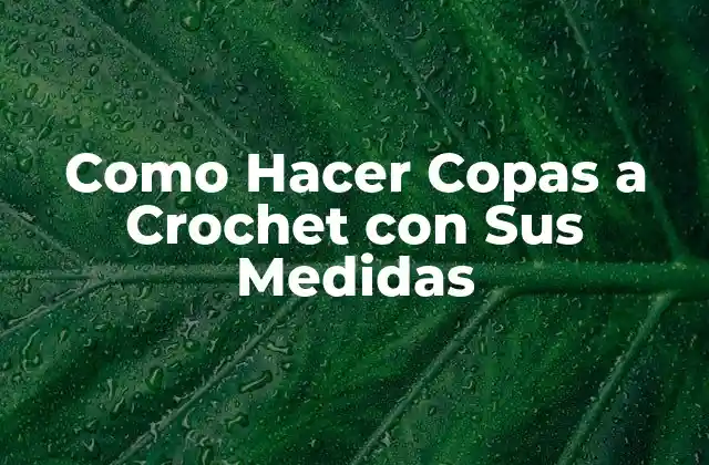 Como Hacer Copas a Crochet con Sus Medidas