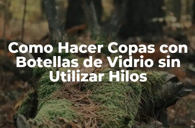 Como Hacer Copas con Botellas de Vidrio sin Utilizar Hilos 2 Como Hacer Copas con Botellas de Vidrio sin Utilizar Hilos