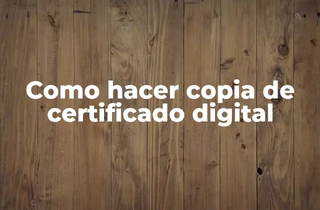 Como Hacer Copia de Certificado Digital 2 ¿Qué es un certificado digital y para qué sirve?