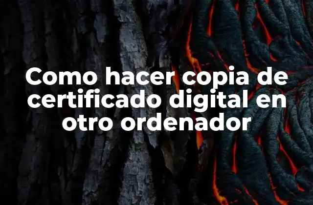 ¿Qué es un certificado digital y para qué sirve?