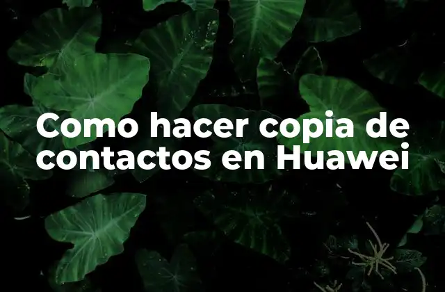 Como Hacer Copia de Contactos en Huawei