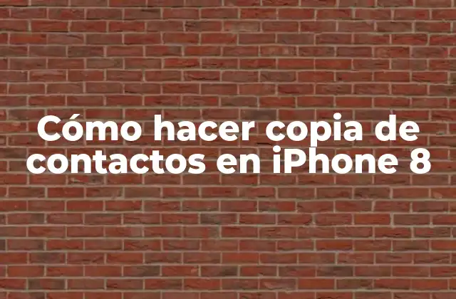 Cómo Hacer Copia de Contactos en Iphone 8