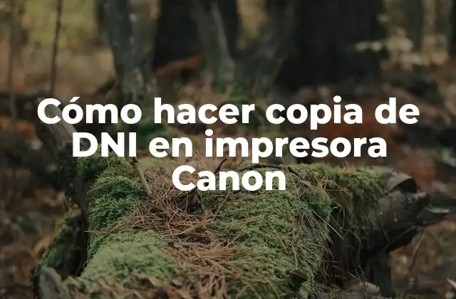 Cómo Hacer Copia de Dni en Impresora Canon