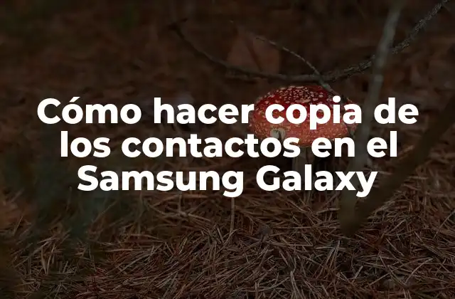 Cómo Hacer Copia de los Contactos en el Samsung Galaxy